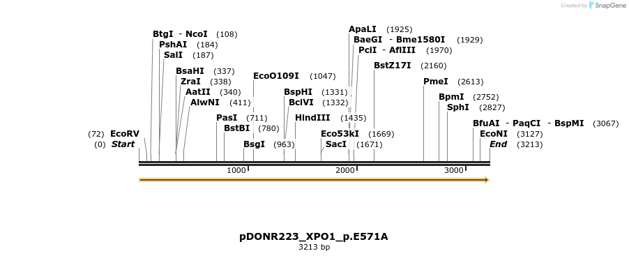 154919_map