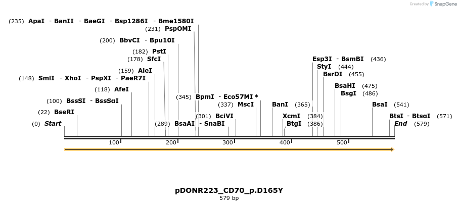 154922_map