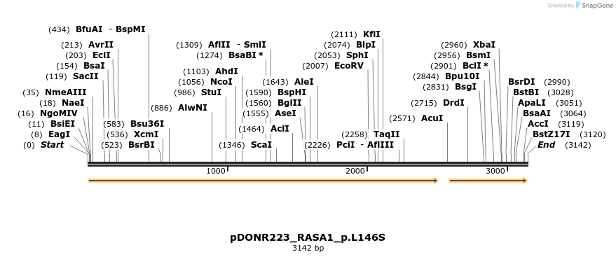 154925_map