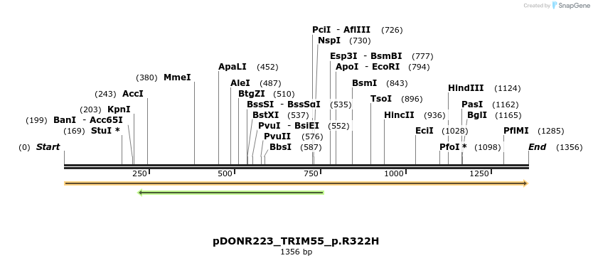 154928_map