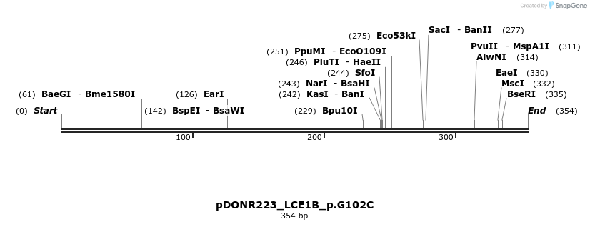 154932_map