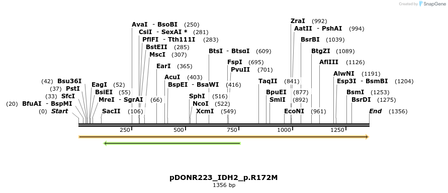 154937_map