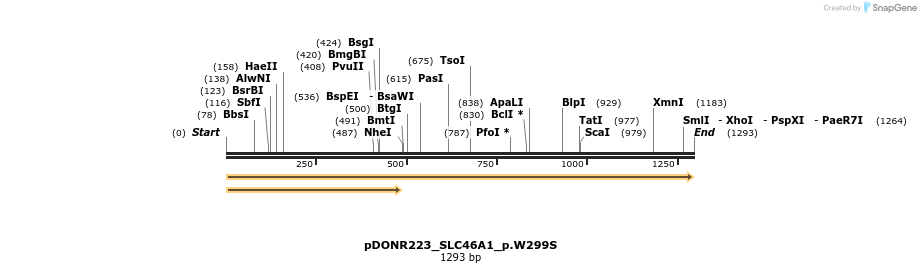154941_map