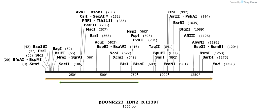154946_map