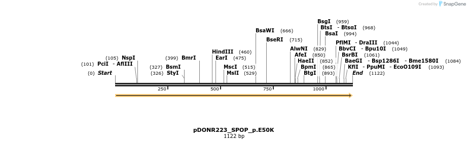 154950_map