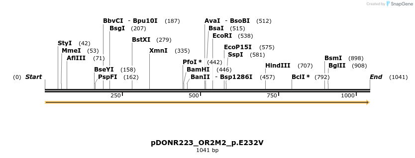 154953_map