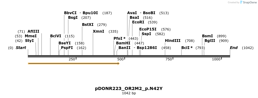 154957_map