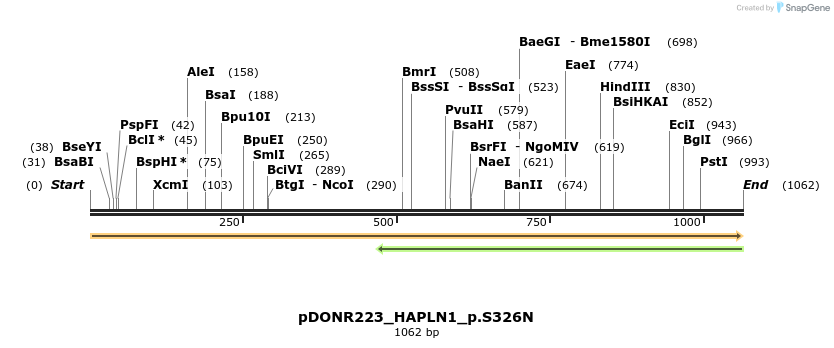 154959_map