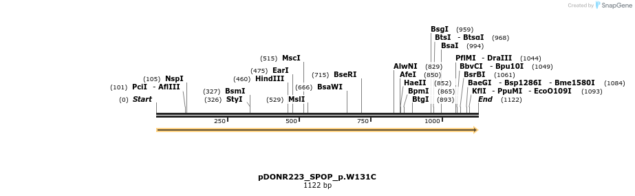 154962_map