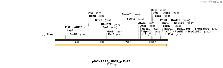 154964_map