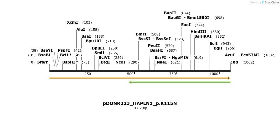 154965_map