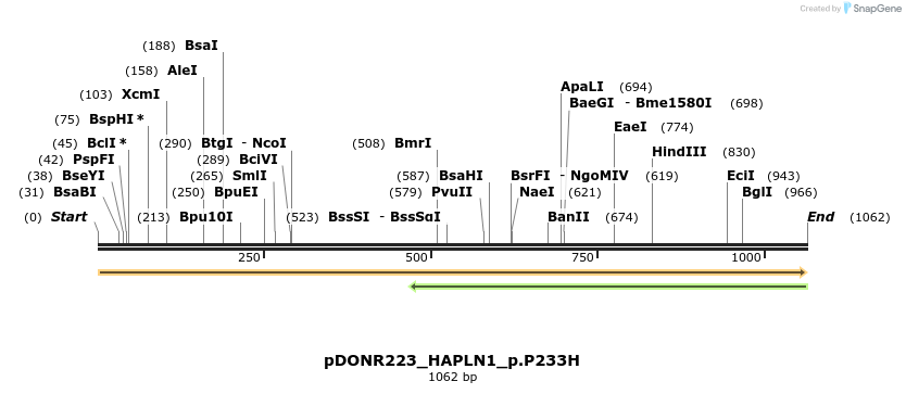 154967_map
