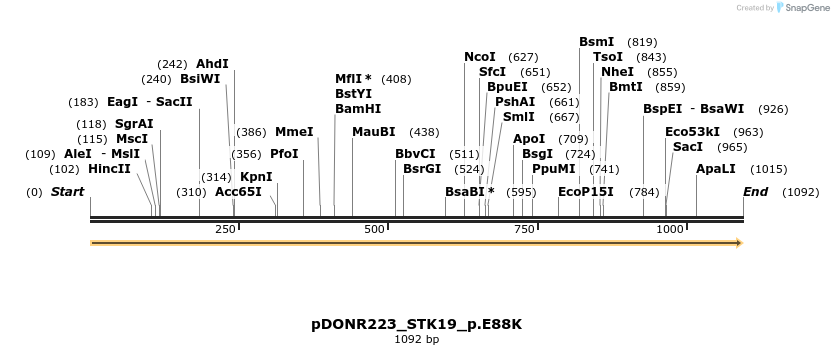 154968_map