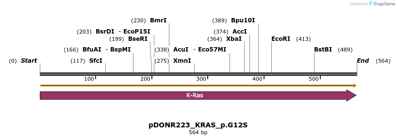 154973_map