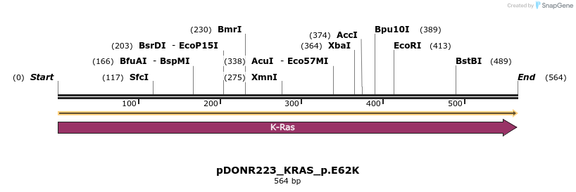 154975_map