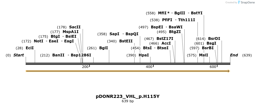 154977_map
