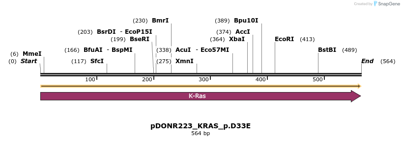 154978_map