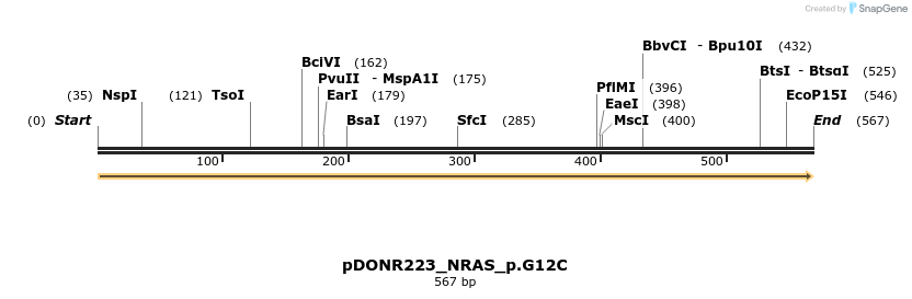 154979_map