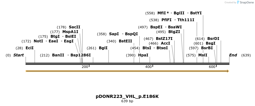 154980_map