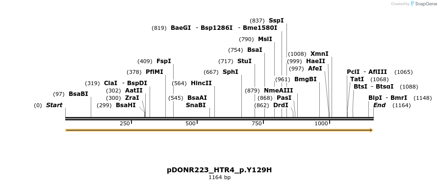 154982_map