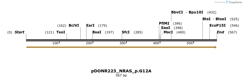 154983_map