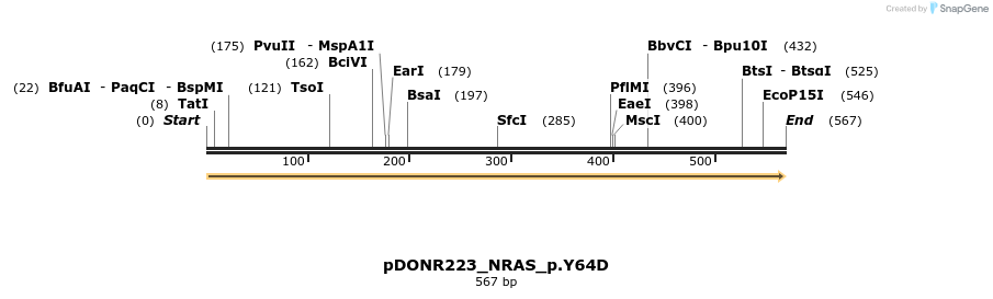 154985_map