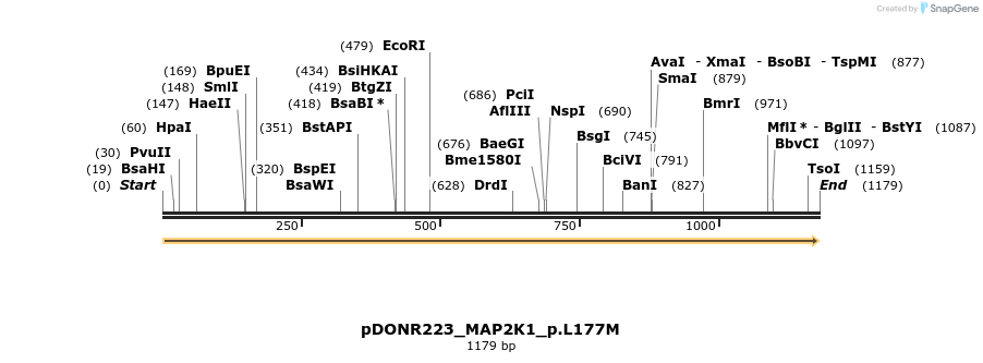154991_map