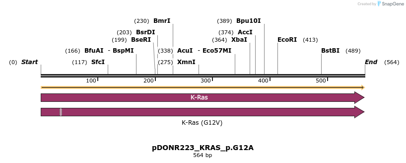 154992_map