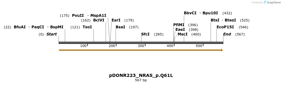 154993_map