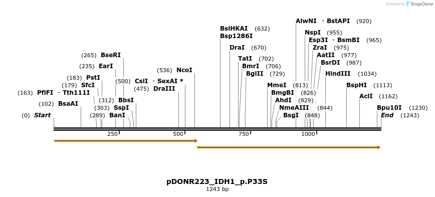 154995_map
