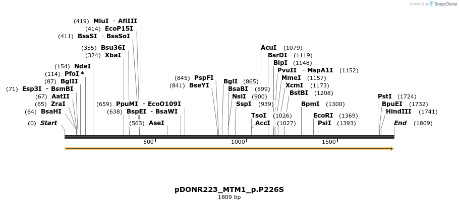 154997_map