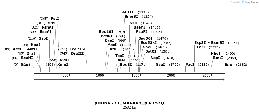 155007_map