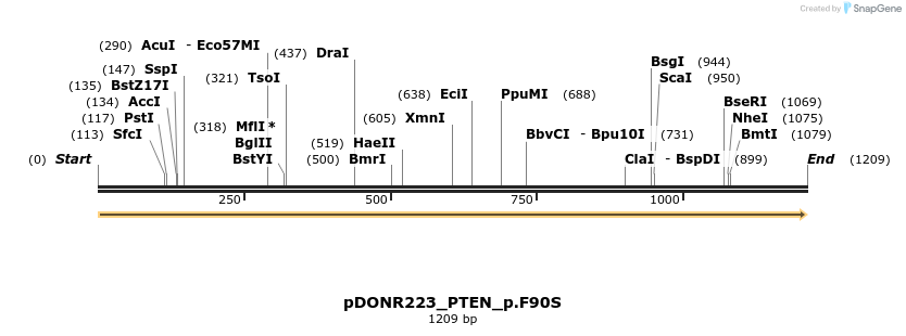 155012_map