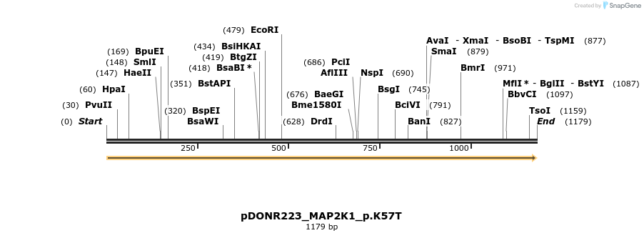155014_map