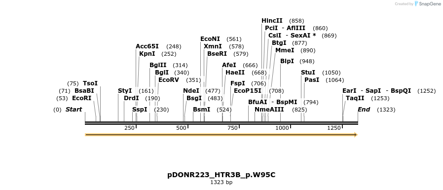 155015_map