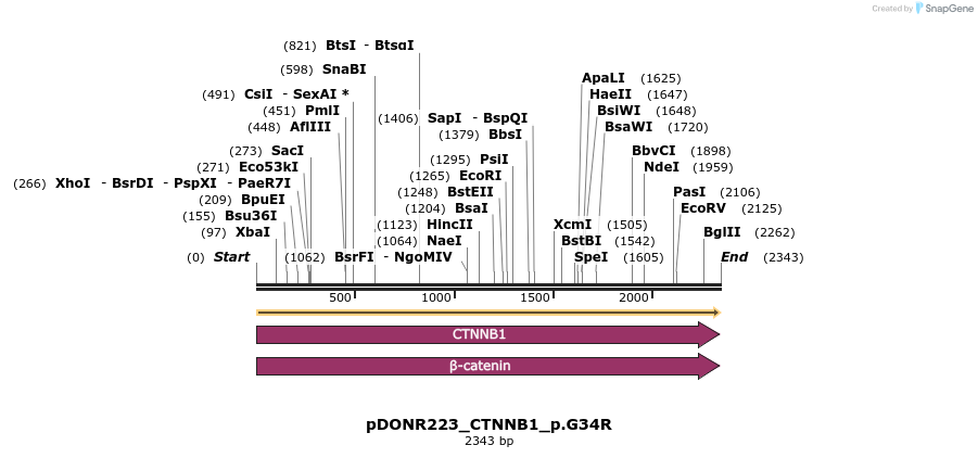 155016_map