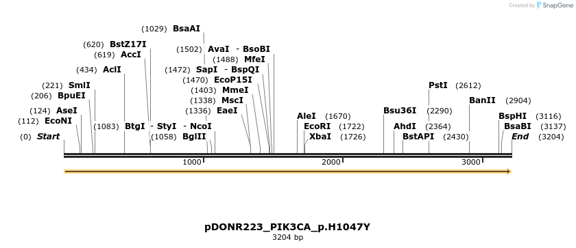 155020_map