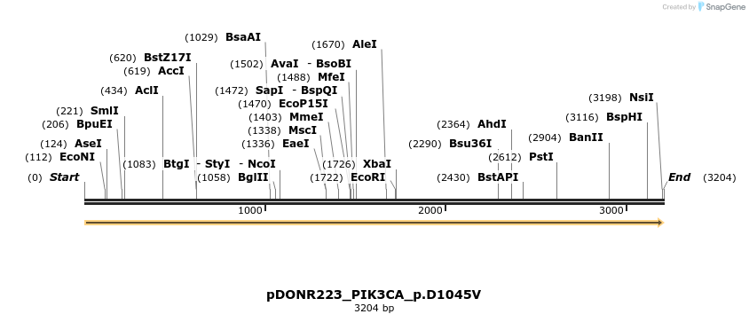 155021_map