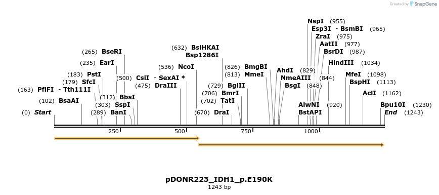 155023_map