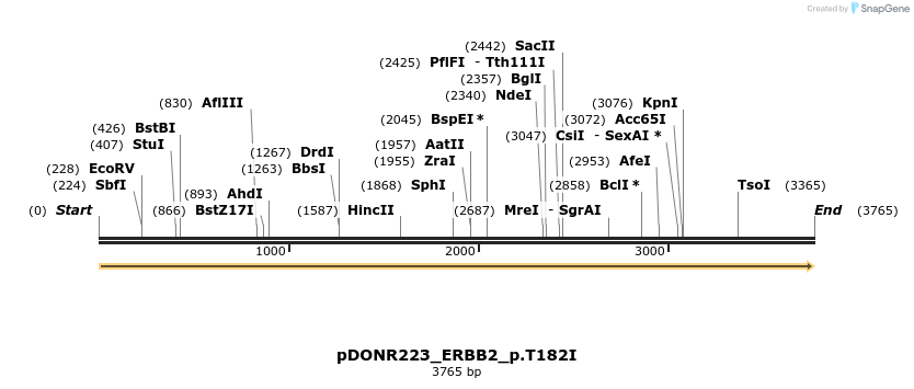 155024_map