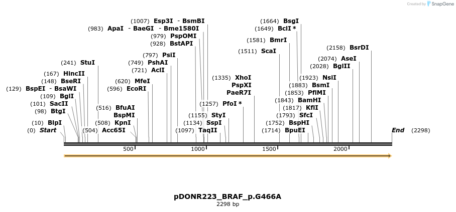 155026_map