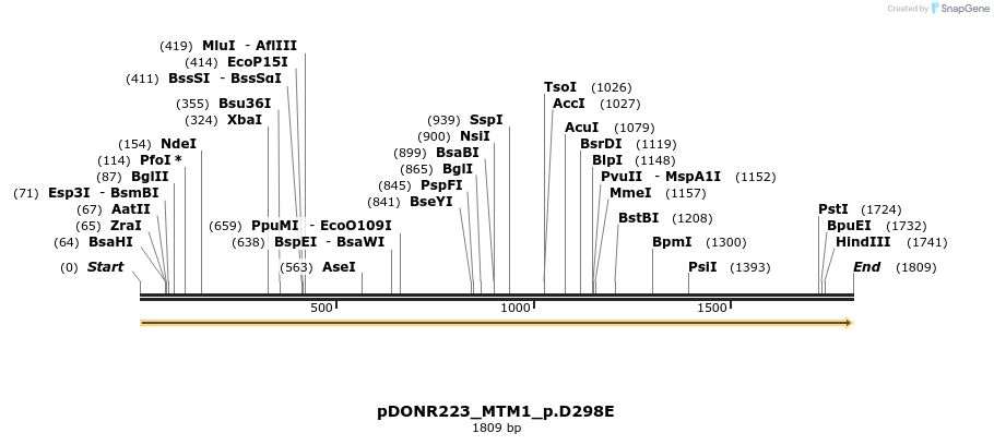 155030_map