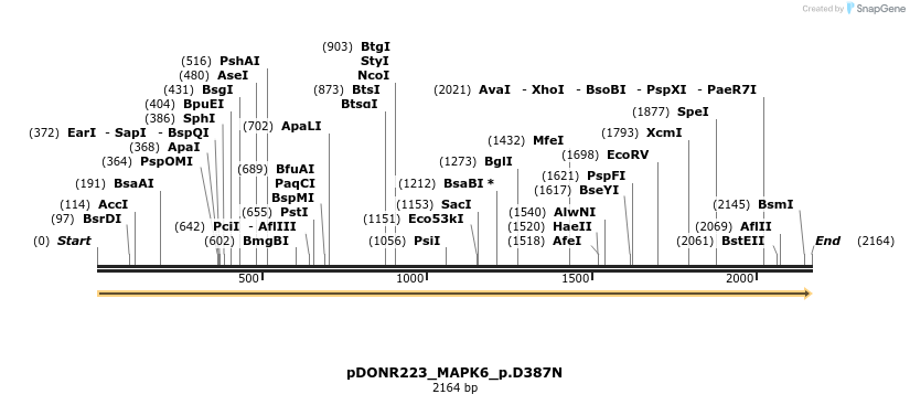 155031_map