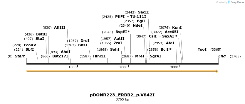 155041_map