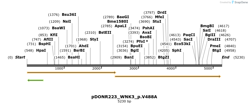 155042_map