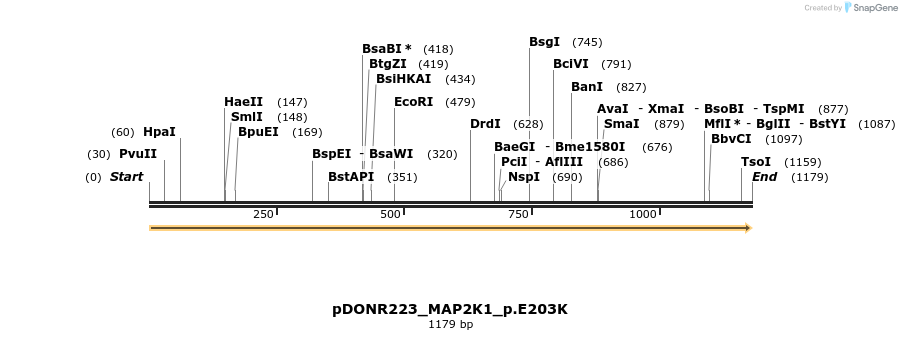 155048_map