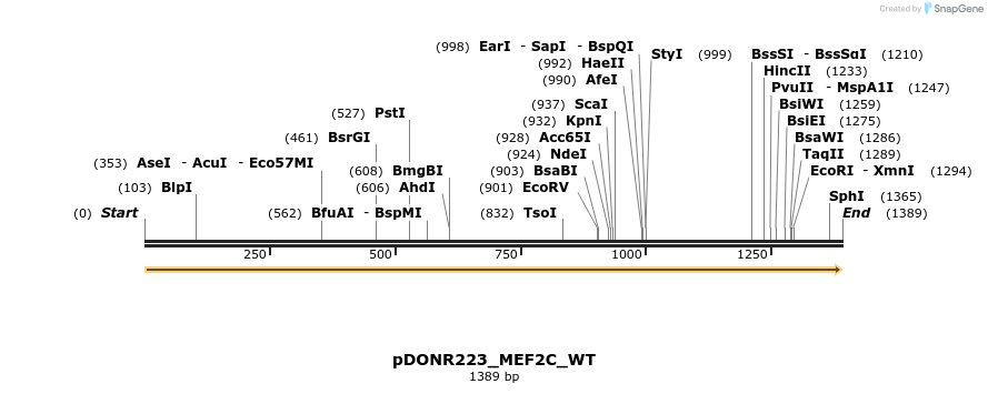 155054_map