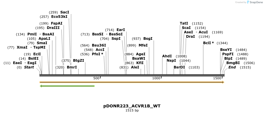 155057_map