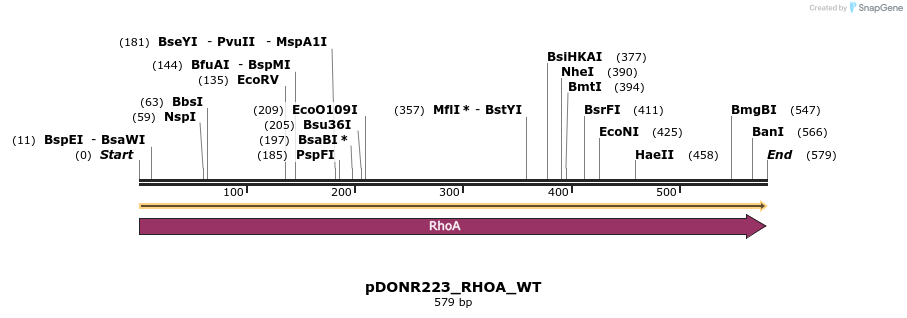 155058_map