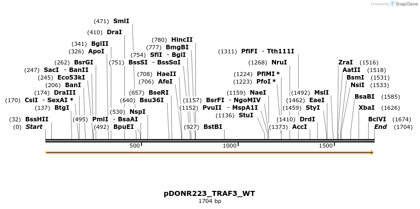 155074_map